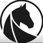 Kathryn Howard - @kvequestriancoach - Instagram