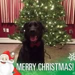 Kathryn Howell Designs - @kathrynhowelldesigns - Instagram