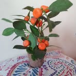 Kathryn Hunt - Facebook