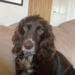 Kathryn Hyde - @kathryn.hyde.75 - Instagram