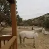 Kathryn James - @kathryn.james3 - TikTok