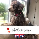 Cath Lloyd - @cathrynlloyd4 - Instagram