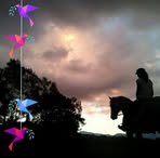 Cathryn Martin - Facebook