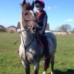 Kathryn Mcbride🐯 - @showjumping_14.2s - Instagram