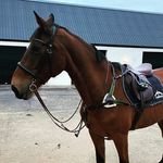 Kathryn McBride - @windyhill_horses - Instagram