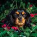 Kathryn Strong - Facebook