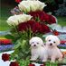 Cathy Anthony - Facebook