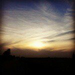 Cathy Anthony - @cat4235 - Instagram
