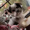 Cathy A - @cathy.arnold51 - TikTok