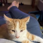 Cathy Arnold - @cathyarnold251 - Instagram