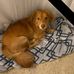 Cathy Arnold - Facebook