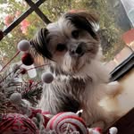 Cathy Arnold - @carnold2008 - Instagram