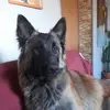 Cathy Arnold - @cathy.arnold - TikTok