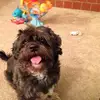 Cathy Arnold - @cathy.arnold5 - TikTok