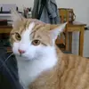 cathyarnold06 - @cathyarnold06 - TikTok