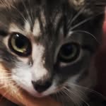Cathy Arthur - @cathair804 - Instagram
