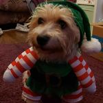 Cathy Atkinson - @cathycatj123 - Instagram