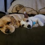 Cathy Baer - @maxdakota24 - Instagram
