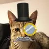 Kathryn Ballou - @kathrynballou - TikTok