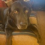 Cathy bartley - @cathybartley6 - Instagram
