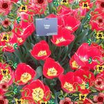 Cathy Bartley - @cathy.bartley.50 - Instagram