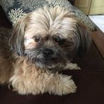 Cathy Beatty - @cathy.beatty.9210 - Instagram
