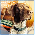 Cathy Beatty - Facebook