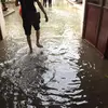 Chơn Phô Mai - @cathyberkeley79 - TikTok