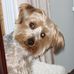Catherine Berman - Facebook