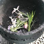 Catherine Bice - @willowsoulstar - Instagram