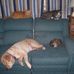 Cathy Bice - Facebook