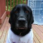 Cathy Blair - @cathyblair6 - Instagram