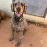 Cathy Boland - @ace_boland - Instagram