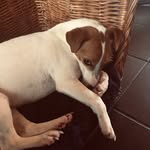 Cathy Boone - @cathy_jack_ - Instagram
