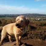 cathy  booth - @willowtree.cb - Instagram