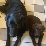 Cathy Brady - @cathy.brady.372 - Instagram