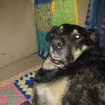 Cathy brady - @cathybrady.cb - Instagram