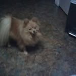 Cathy Brooks - @brooks.cathy - Instagram