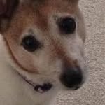 Cathy Brooks - @brookscathy - Instagram