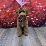 Cathy Edgington Brougher - @cathybrougher - Instagram