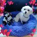 Cathy Bruno - Facebook