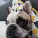 Cathy Bruno Bon - @bon.bruno1 - Instagram