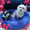 cathybruno7 - @cathybruno7 - TikTok