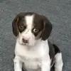Cathy Buchanan - @cathy.buchanan3 - TikTok