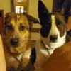 cathybuchanan7 - @cathybuchanan7 - TikTok