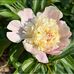 Cathy Bunn - Facebook