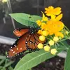 Cathy Burns - @cathy.burns - TikTok