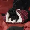 Cathy Burns - @catmeowburns - TikTok