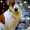 Cathy Burns - @cathyburns18 - TikTok