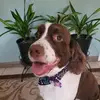 cathyburns28 - @cathyburns28 - TikTok